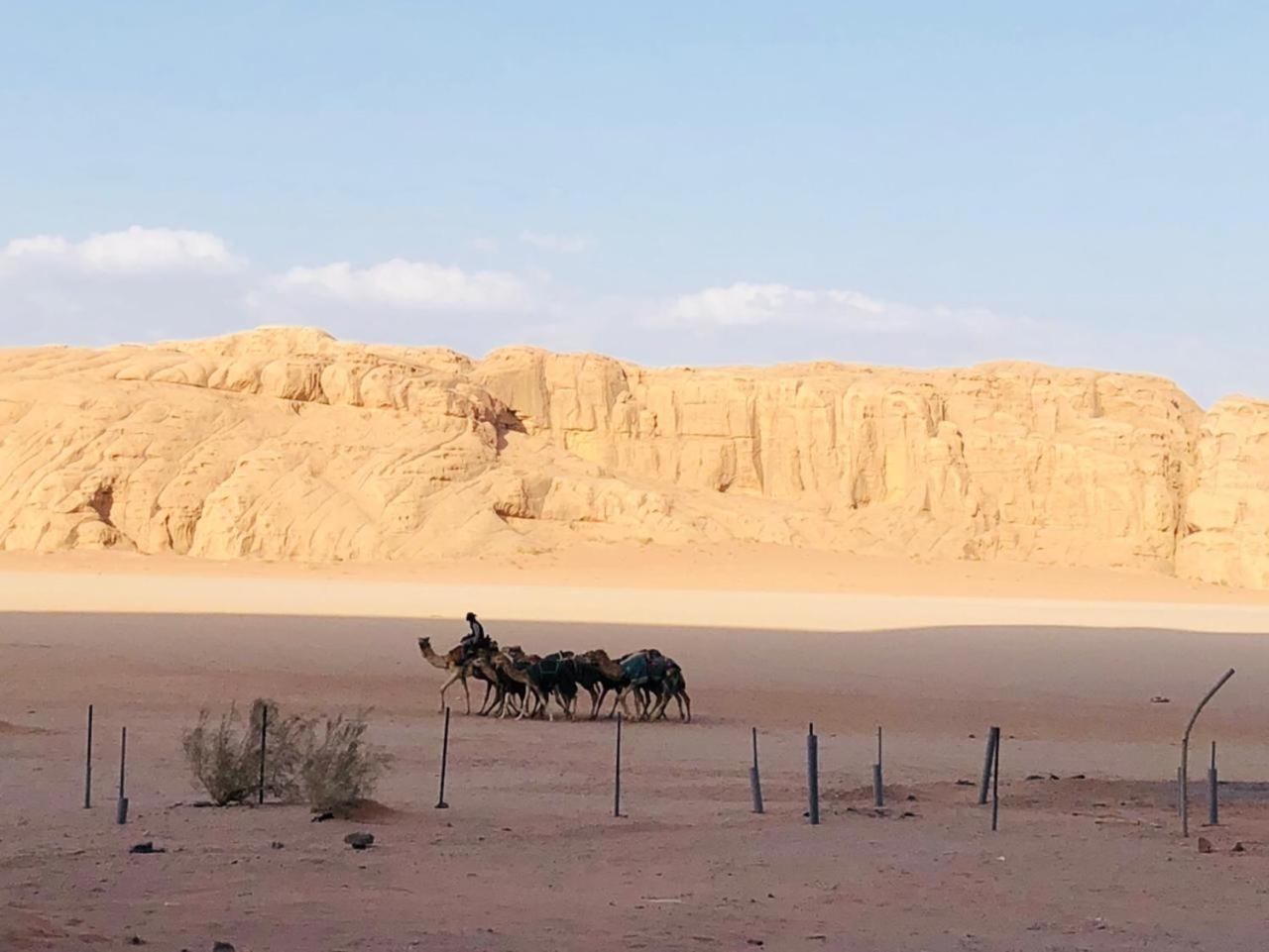 Landscape Rum Camp Hotell Wadi Rum Eksteriør bilde